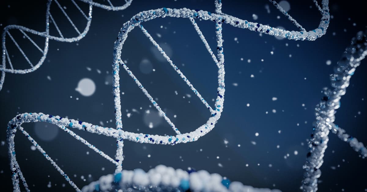 Zonte Metals Advances Cross Hills Copper Project with Significant Mineralization Discovery