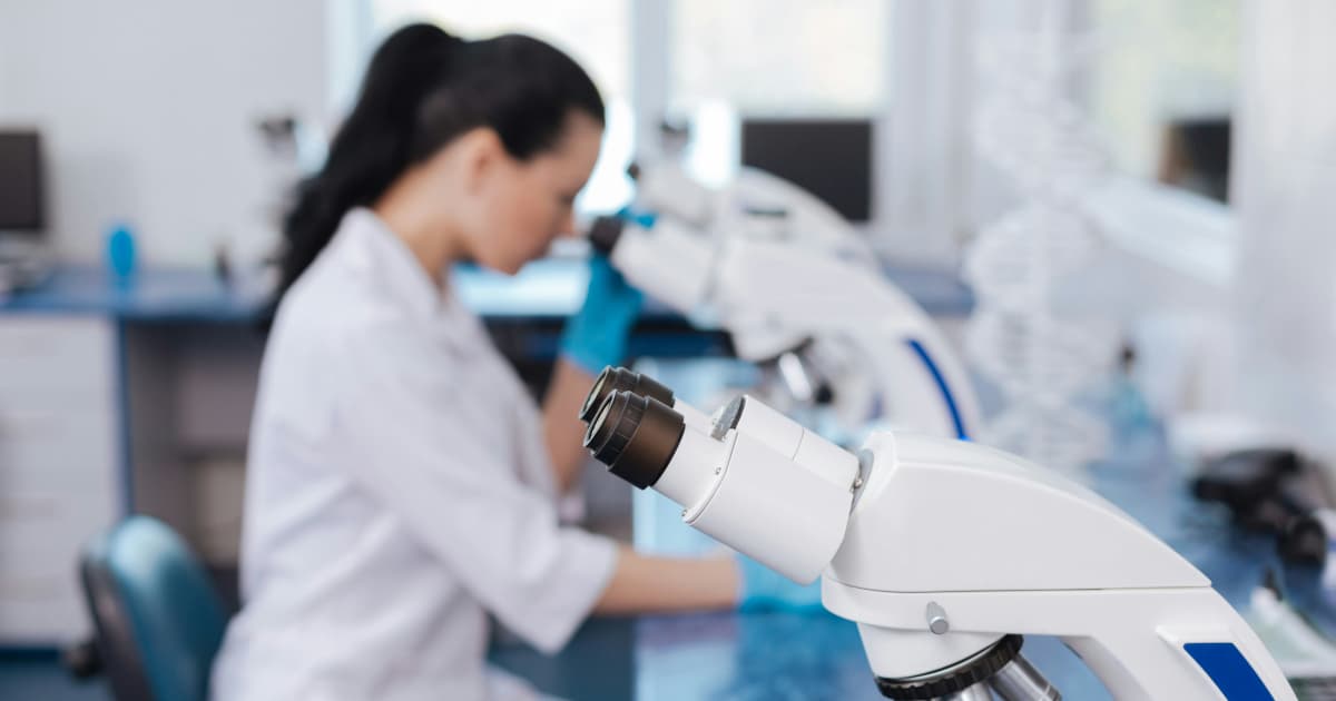 Nicola Mining lance une campagne de forage 2025 optimisée par l'IA pour le projet de cuivre New Craigmont